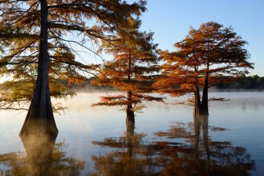 Facility Details - Sequoyah State Park, OK - Oklahoma State Parks